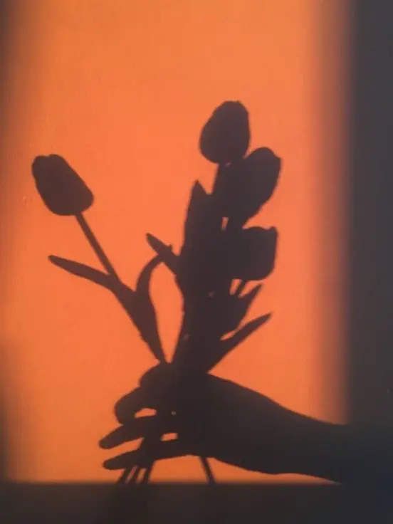 dpxnp의 망가진 세계