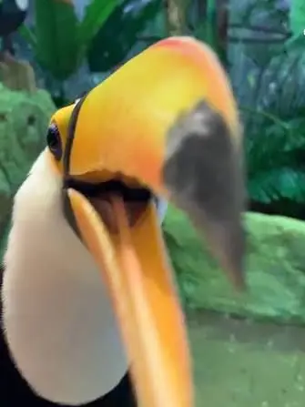 IndigoMule9773의 아이디어 고갈 이슈