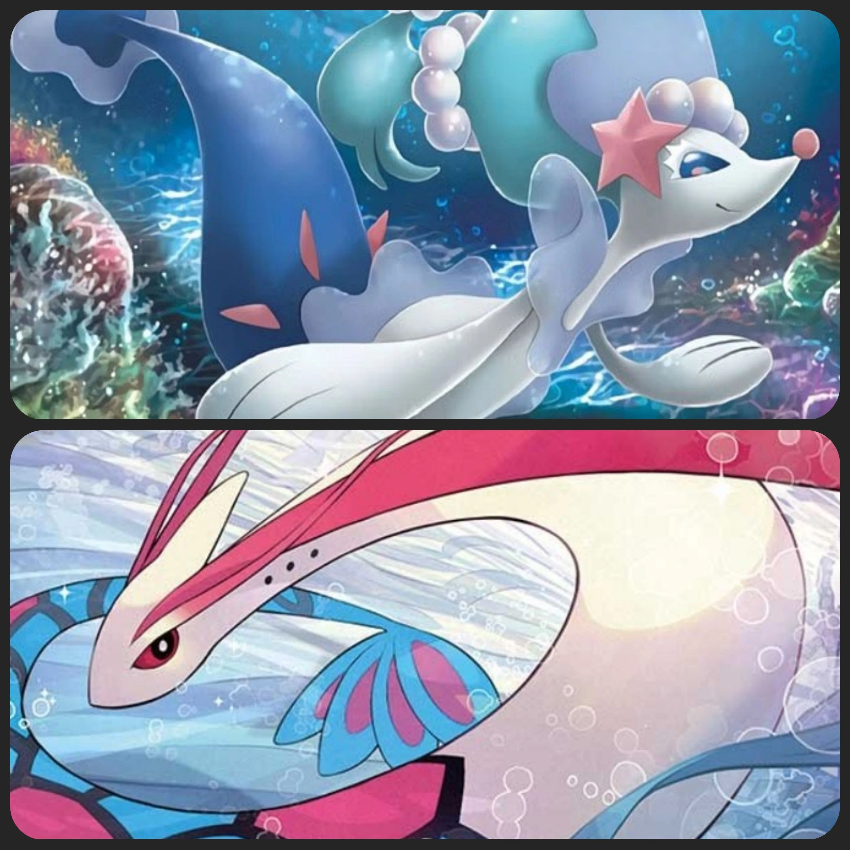 바다의 포켓몬들