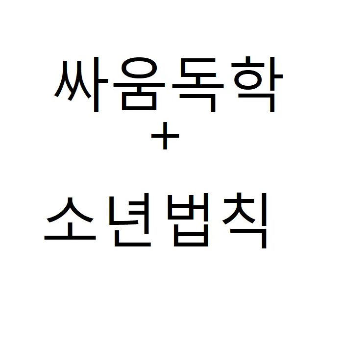 123123a의 싸움독학 + 소년법칙