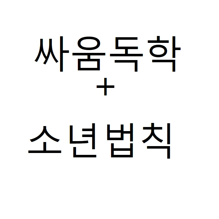 싸움독학 + 소년법칙