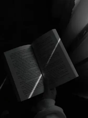 trigger_444의 정공룡