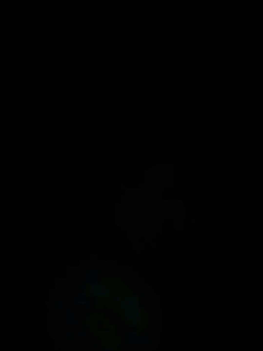 BBBBerry의 세계최고의경찰팀 "black dog"