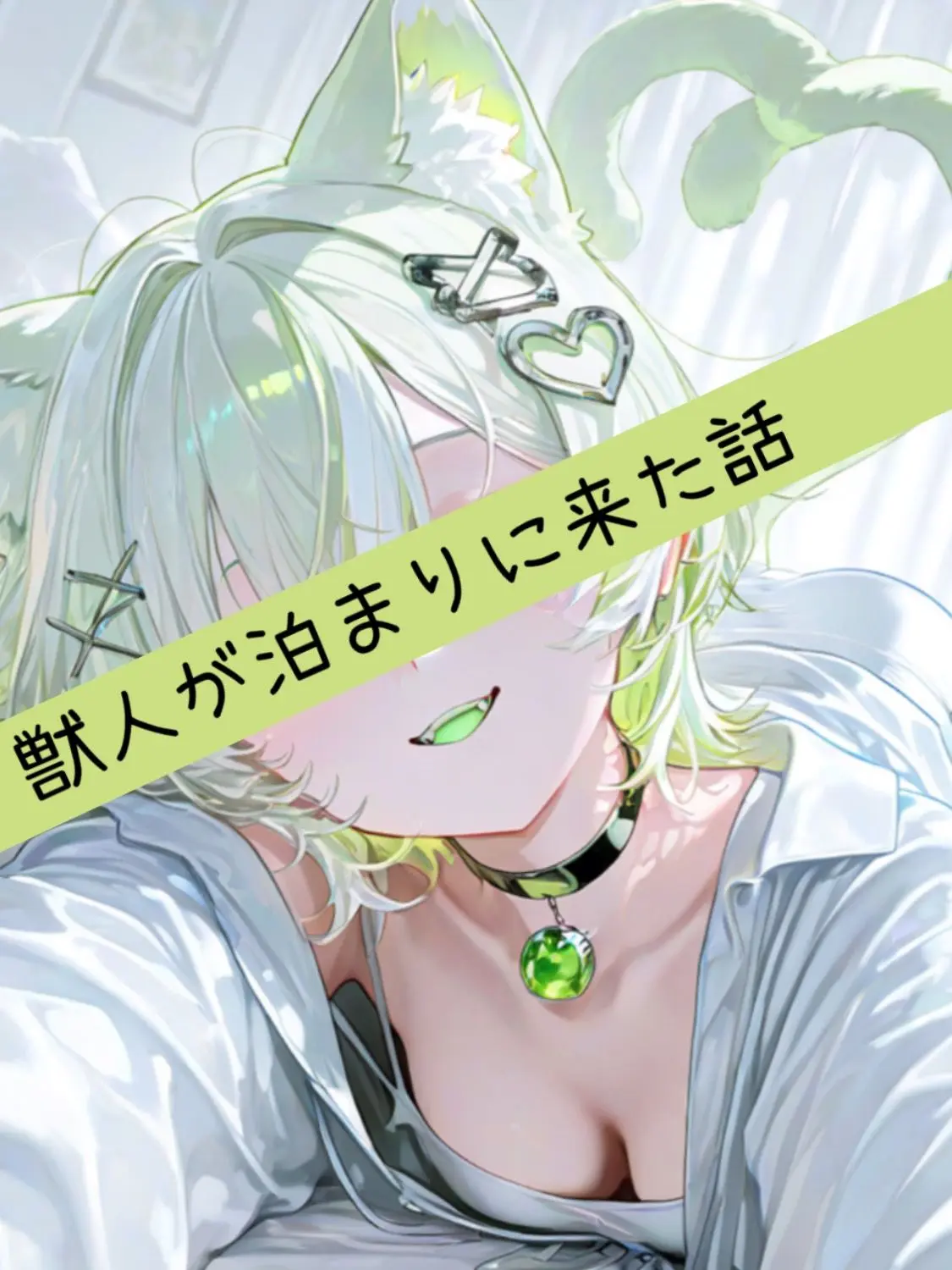 PaltryRaw1521의 目の前にいたギャルネコ