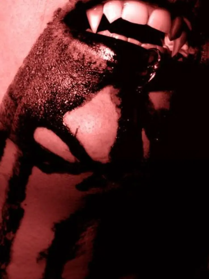 Char_is_skibidi67의 Vampir Husband
