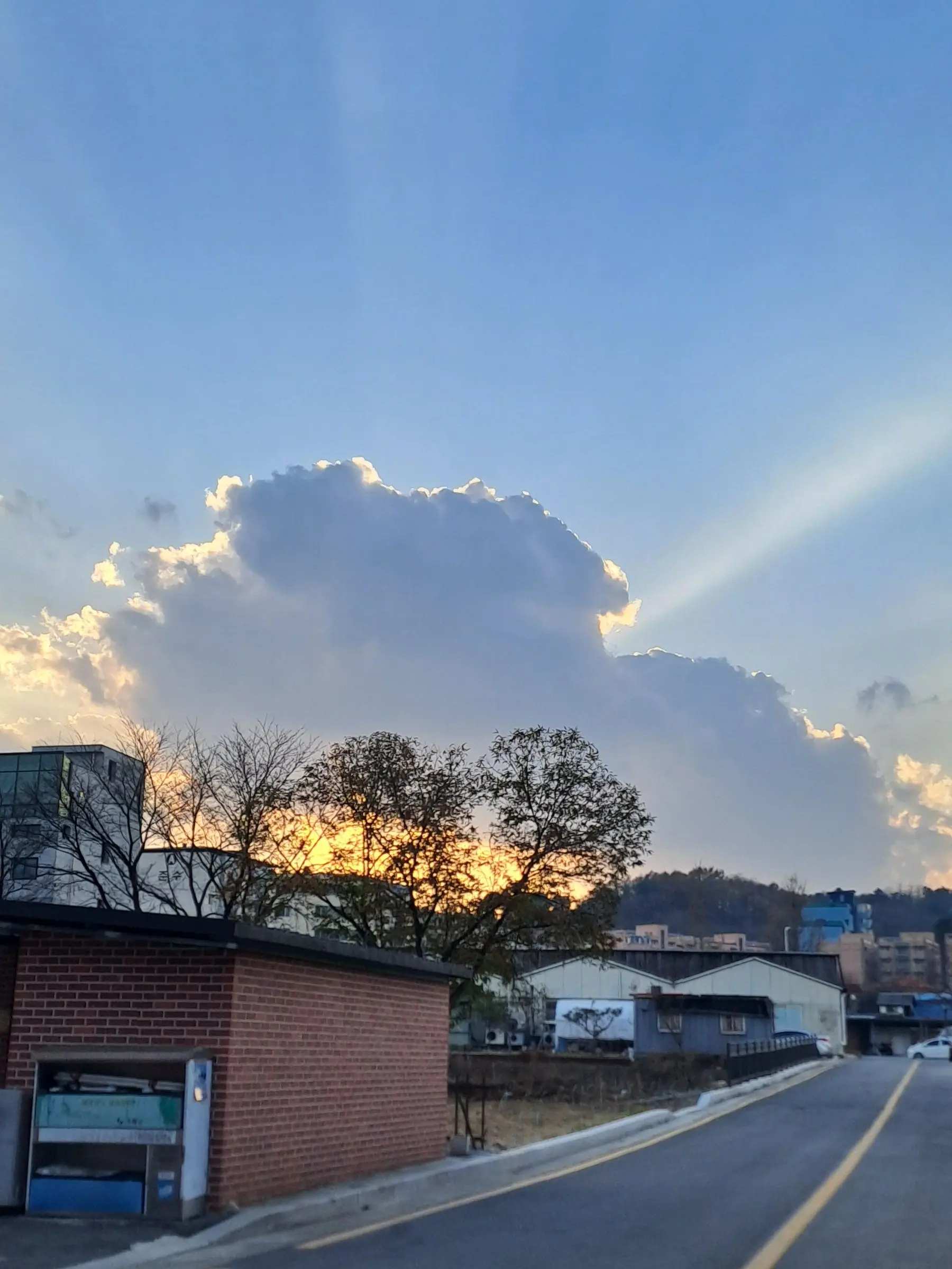 FineZokor3825의 백지헌