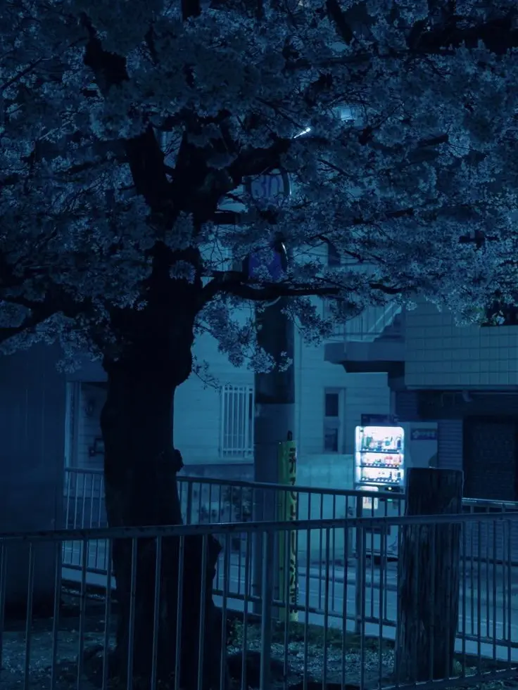 plant___0x0의 連続殺人鬼に惚れられました