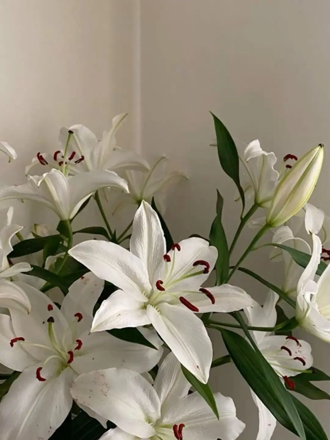 BrutalWasp5531의 直属の部下に！？