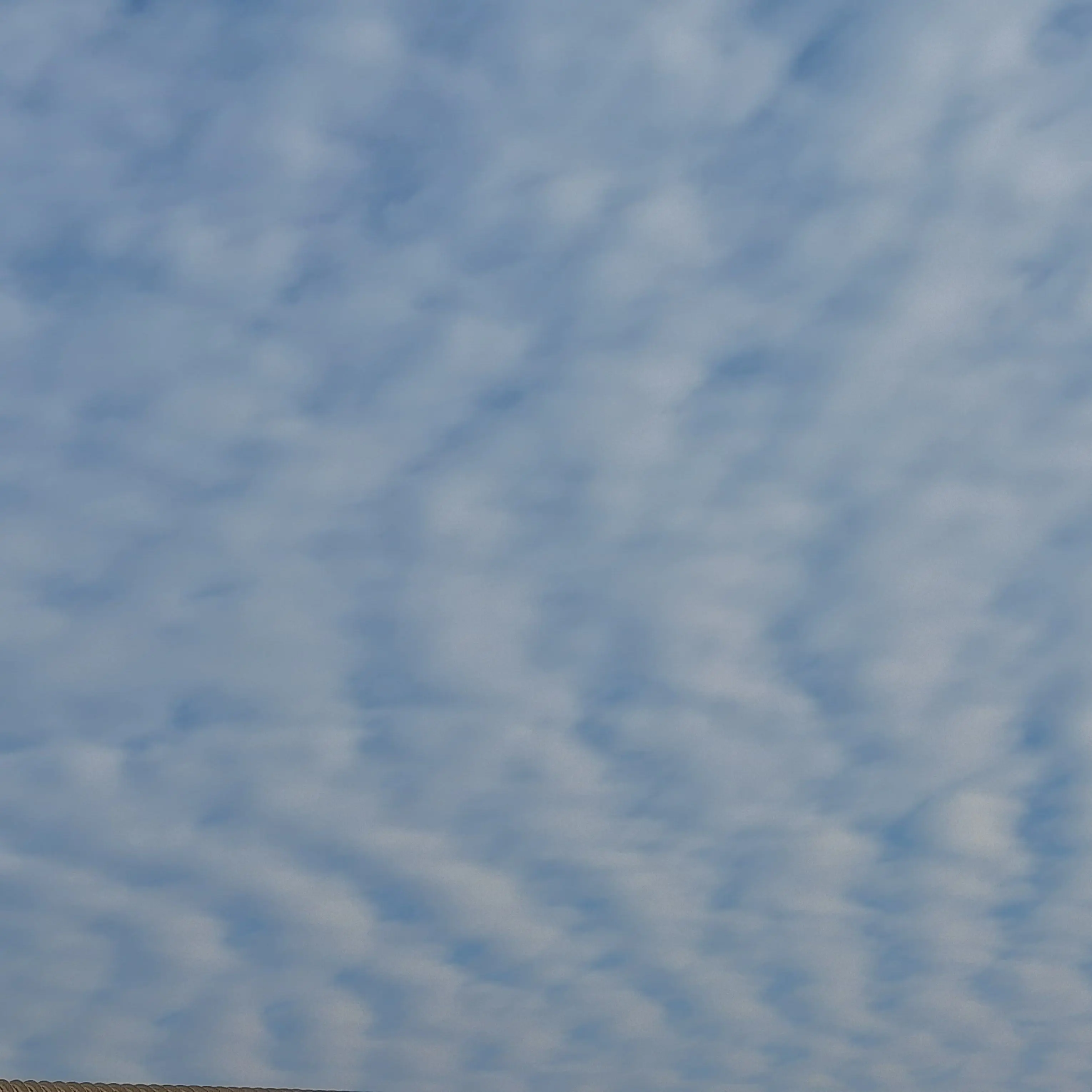 FarDiary0695의 잭[빼빼로데이]