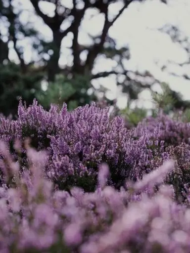 Elliot_Potato의 [ 야, 뭘봐?! ]