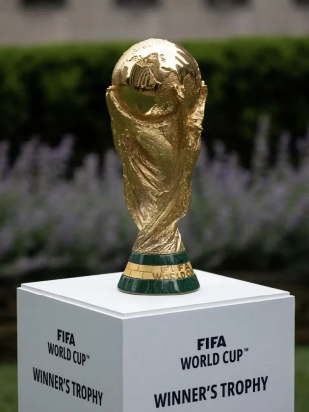 AgileGlove5347의 FIFA WORLD CUP🏆