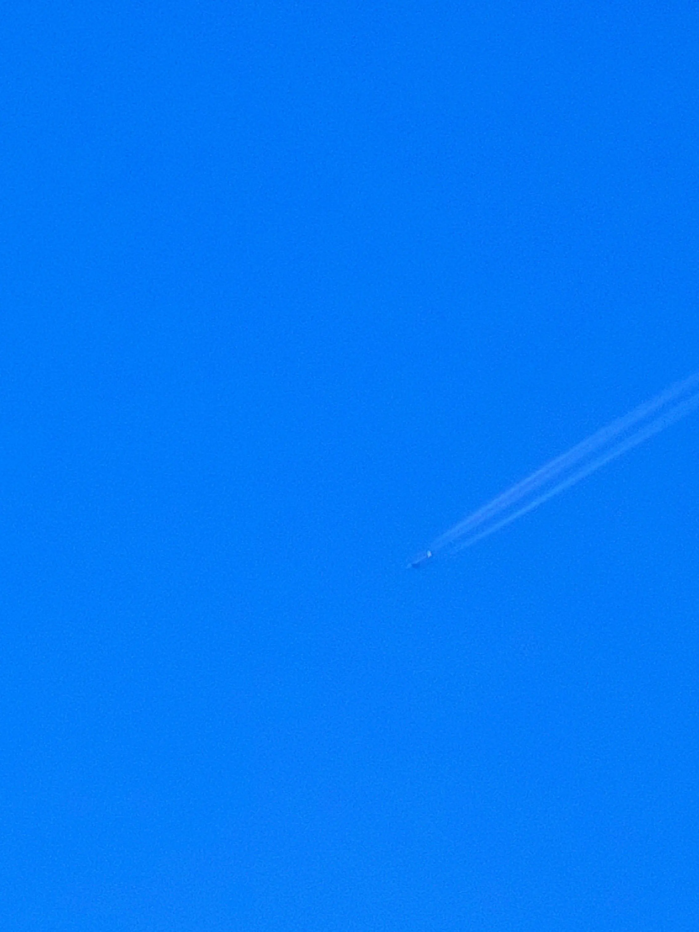 flashing의 집 가고 싶다......