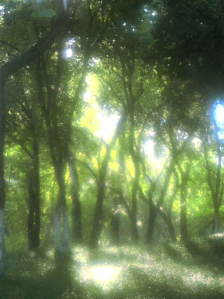 Webtoon04201444의 대마법사인 당신의 제자들