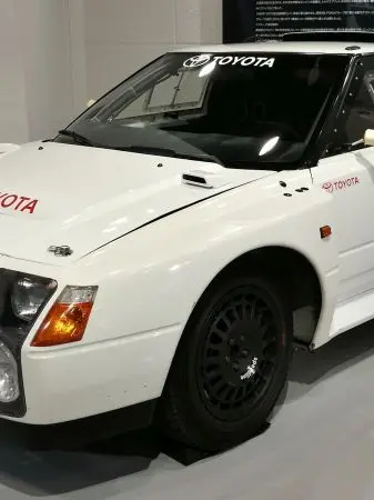 BareSoup0408의 Meeting a Geman Shepherd BTCC driver