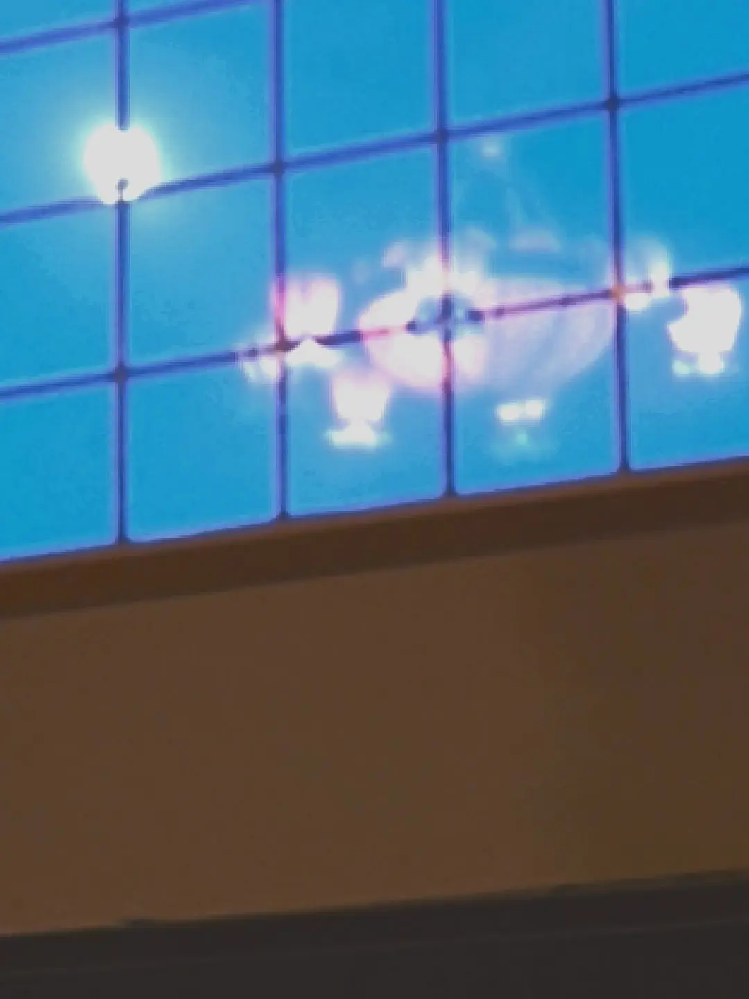 PoeticSwab6587의 성별이 바뀌었다