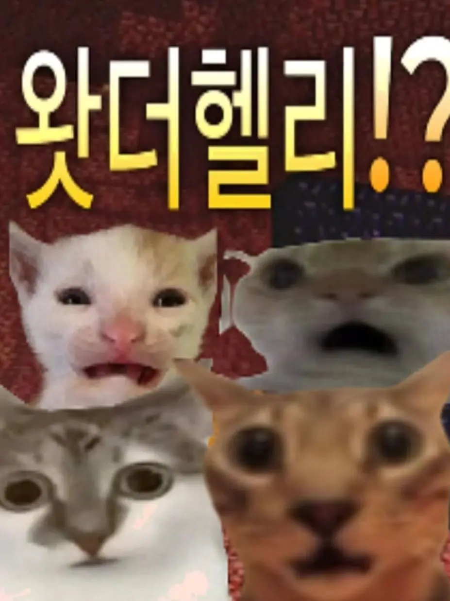 Siuuuu123의 하는 사람이없다ㅠ