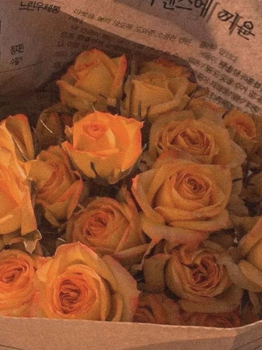 요괴는. 대표 이미지