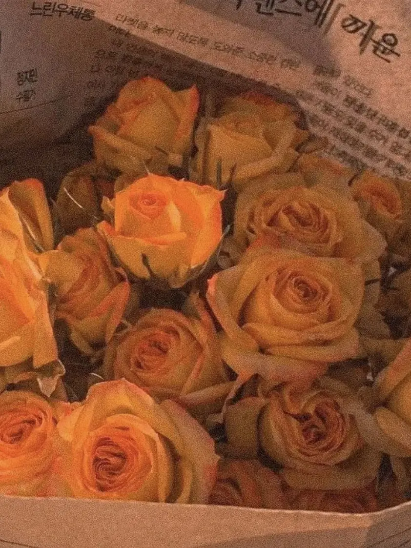AYDZ52의 요괴는.
