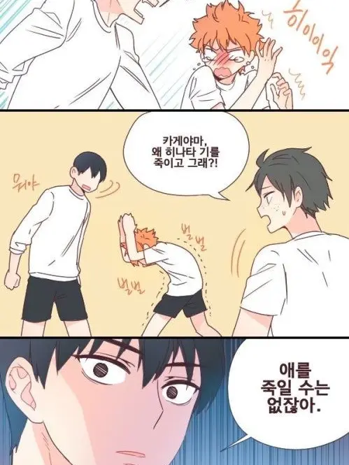 RudeSaiga9703의 히나카게 싸움