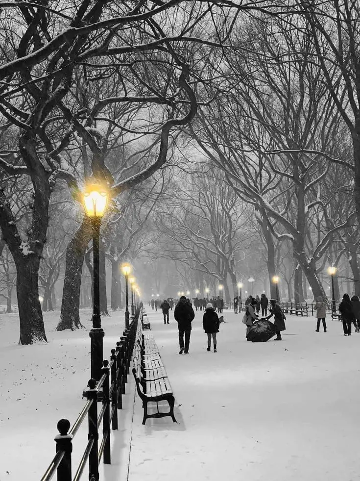 Goin의 한도윤☃️