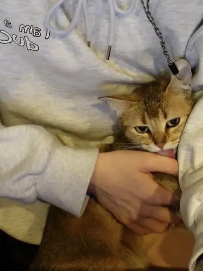 Deon_penggu0717의 감제이