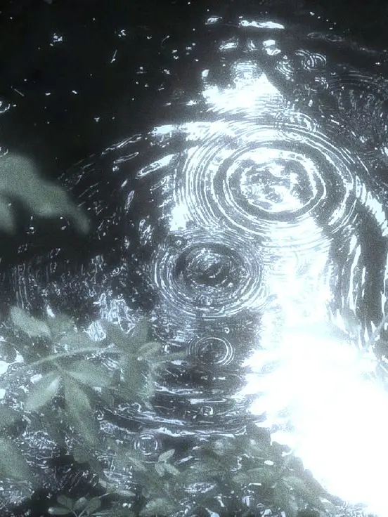 Easyhoon의 成有翰