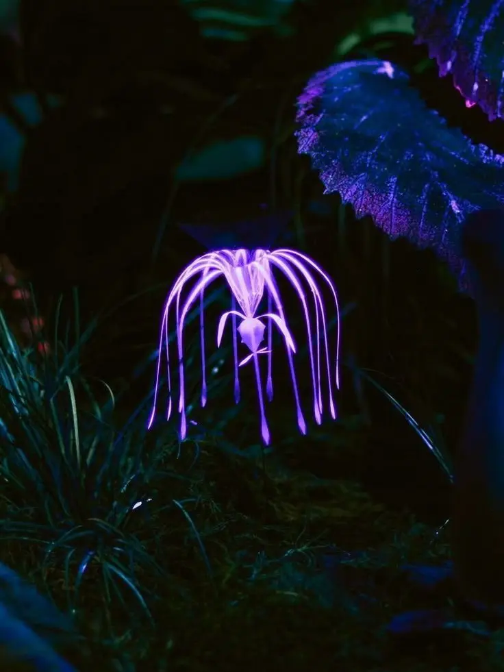 HaTsuteiis의 라이벌 네테이얌과 혐관?!