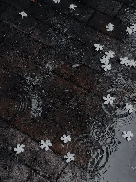 likedokja0215의 그 모습이 너무 보고싶었어.