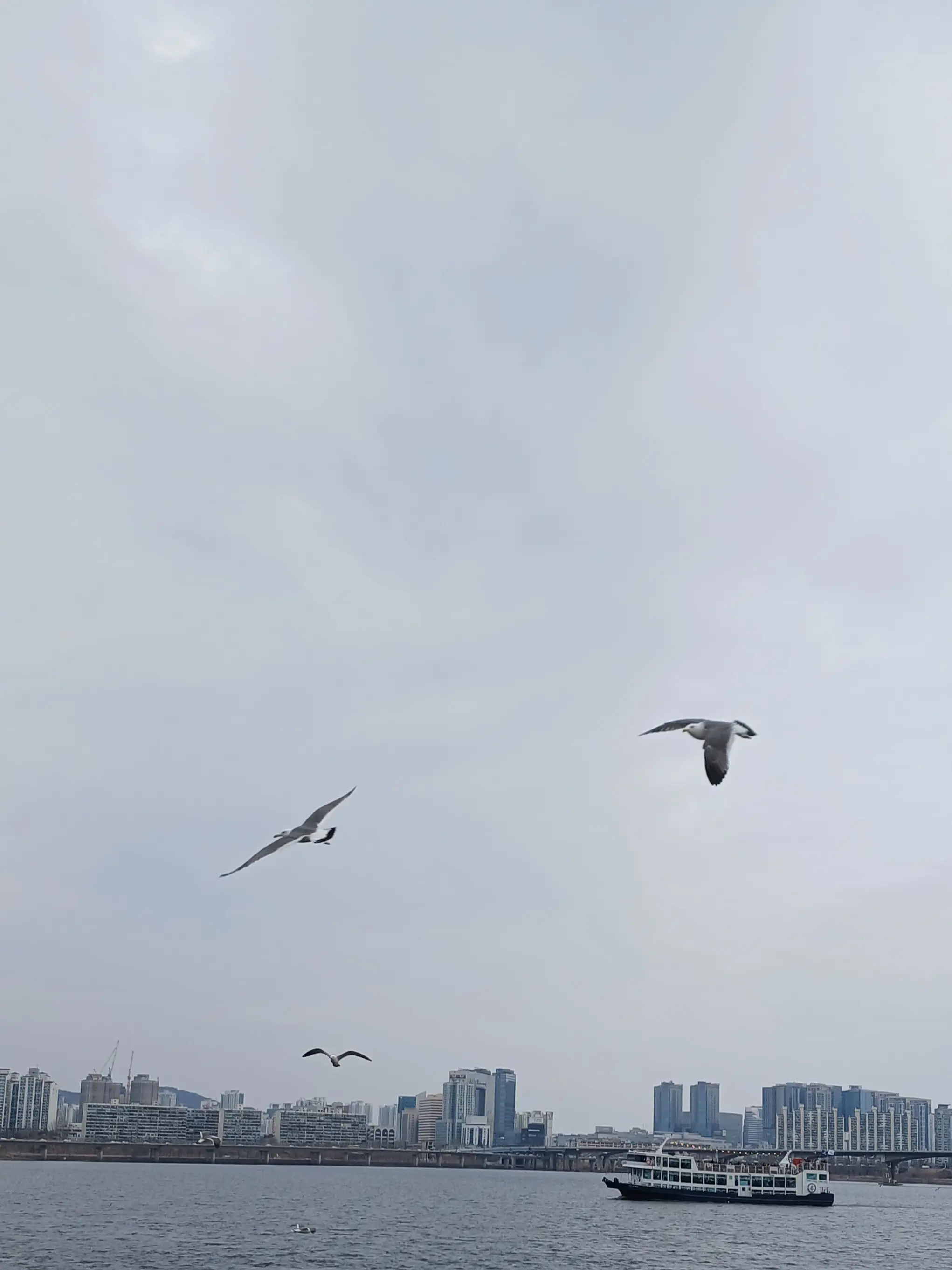 FolksyLava6164의 수학여행