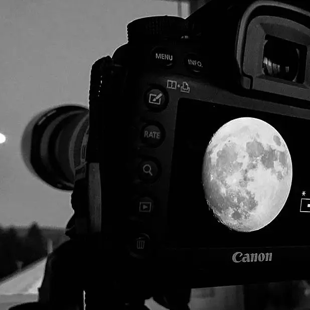 ClassyLlama9309의 🌕달 아래 드리운 그림자🌑
