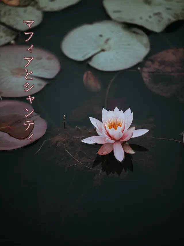 Galza_urto_의 🏢マフィアとシャンティ