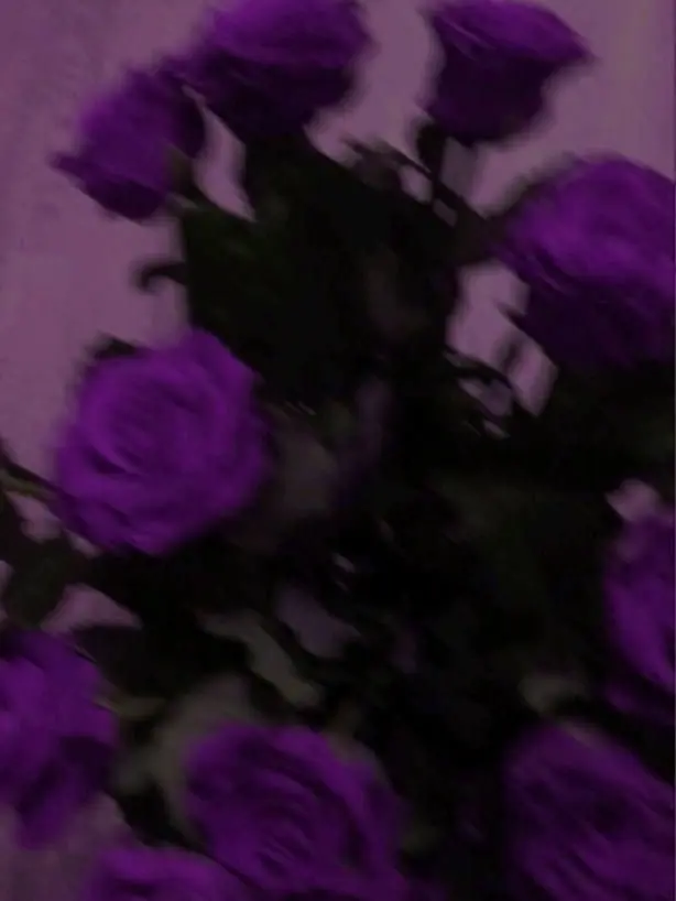 hosihosi_712의 今度は造花を飾ろうか__‎𖤐 ̖́-‬