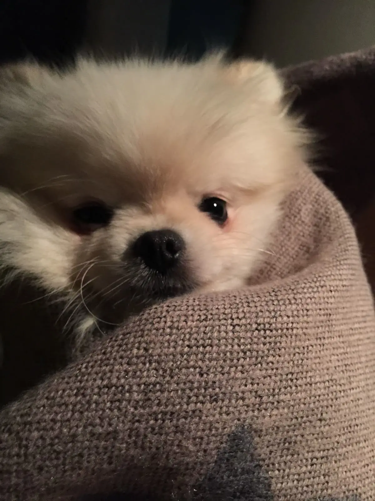 .....ux의 メンヘラ