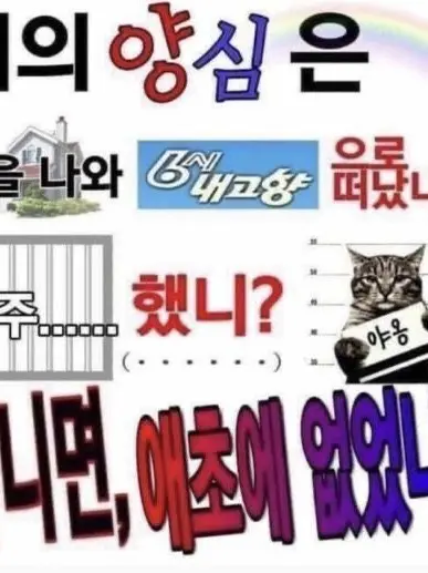 Mile0920의 (지인꺼다지인꺼다지인꺼다)