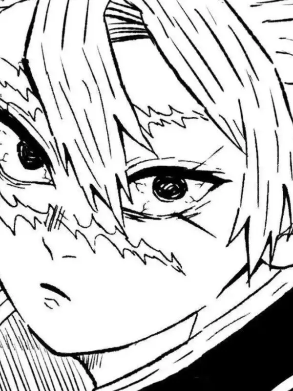 HappyStand4696의 사네미가 화났다...(사네미 버전쓰)