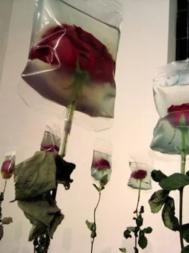 ski_0404의 Stupid Love 🐩