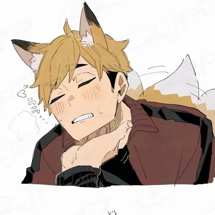 ProneStool6639의 ハイキュー(ツム)獣人パロ