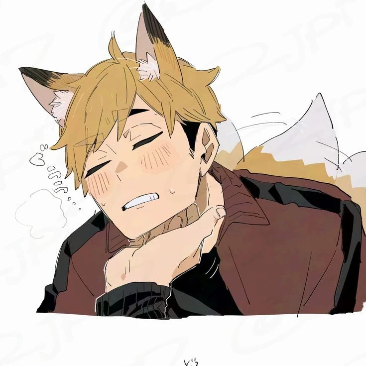 ハイキュー(ツム)獣人パロ