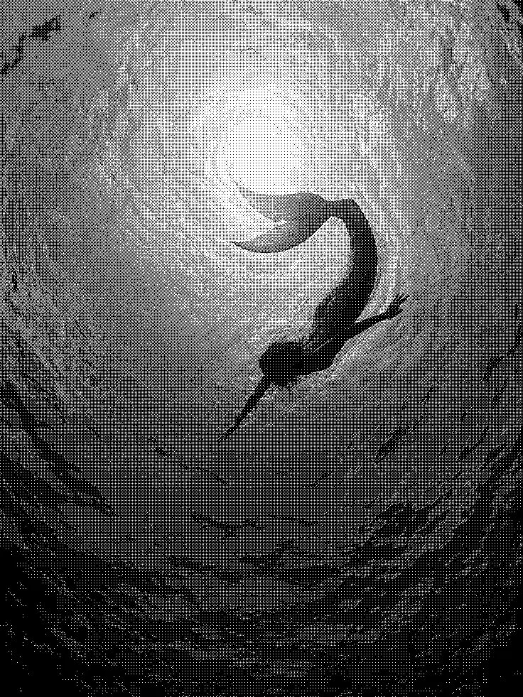 -WHY의 海の上を漂う私も