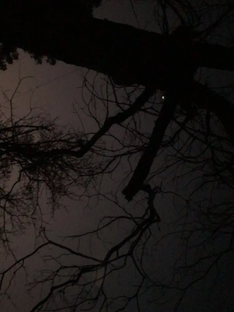 GlazedTosa1970의 The kamaboko Squad! (And some)