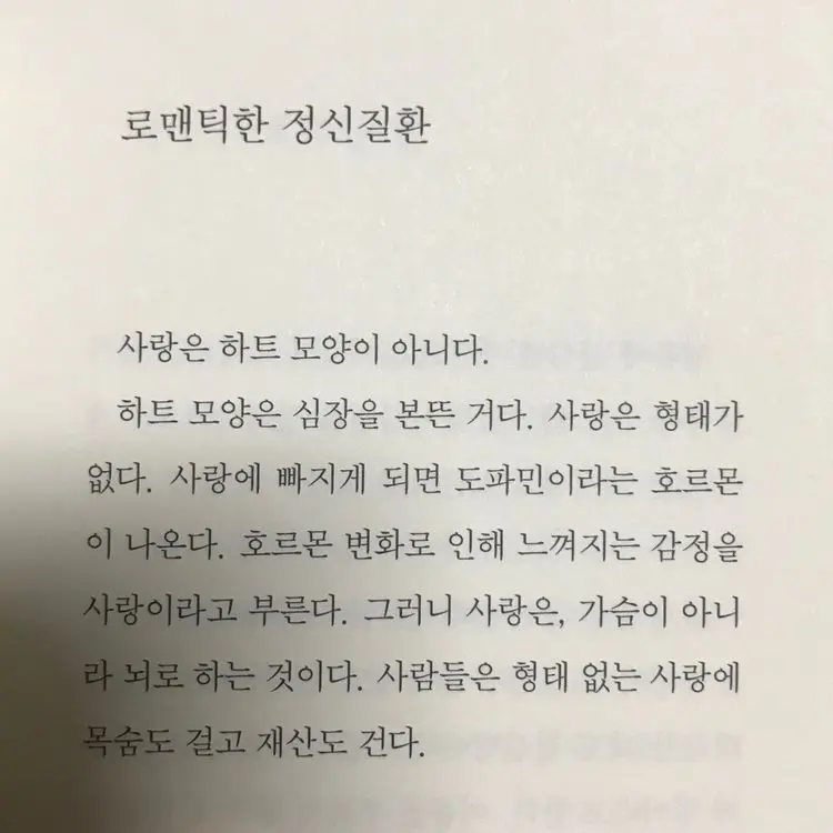 S_gxn.의 이토시 린