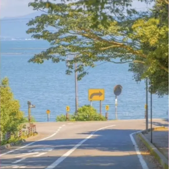 ksr151233의 뜰팁 아이돌(사생 있음)