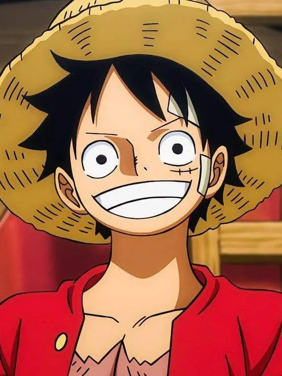 UsableCopy8573의 Monkey D. Luffy
