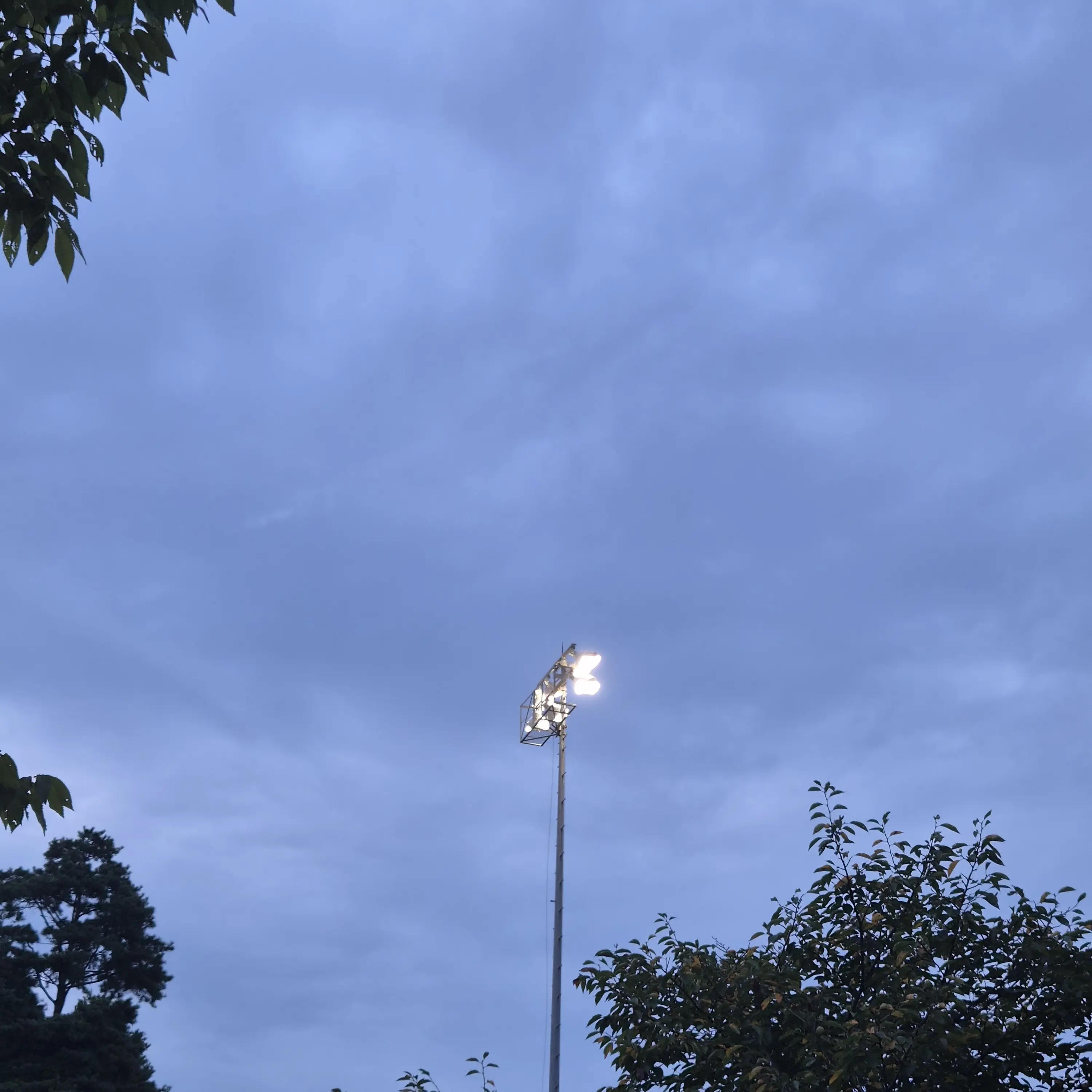 FrayedDesk0714의 연희