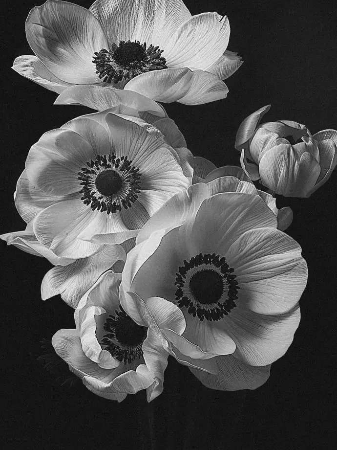 traumfrau의 바뀌는거 없어