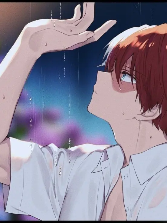 Novachanz의 Shoto Todoroki