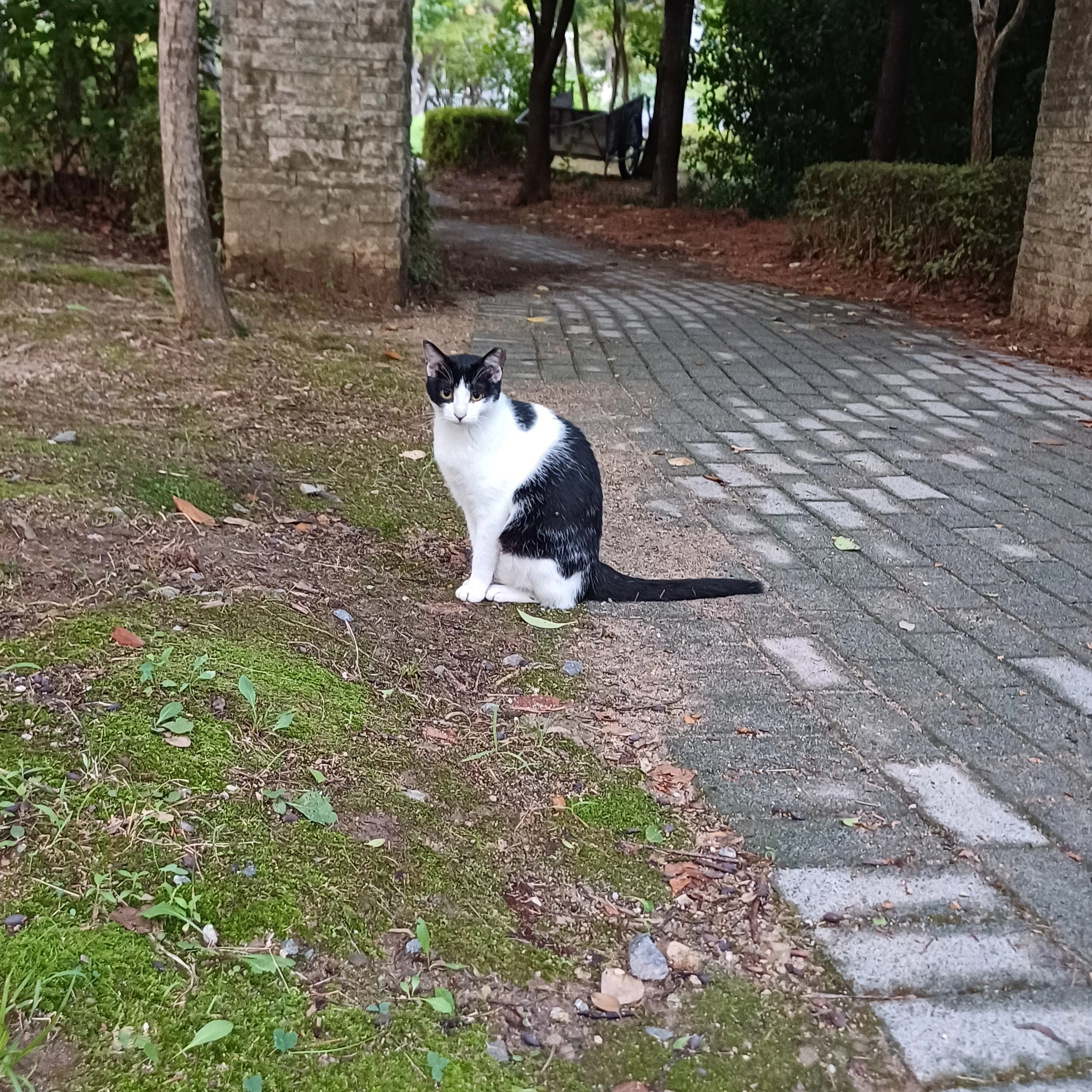 으아앙아