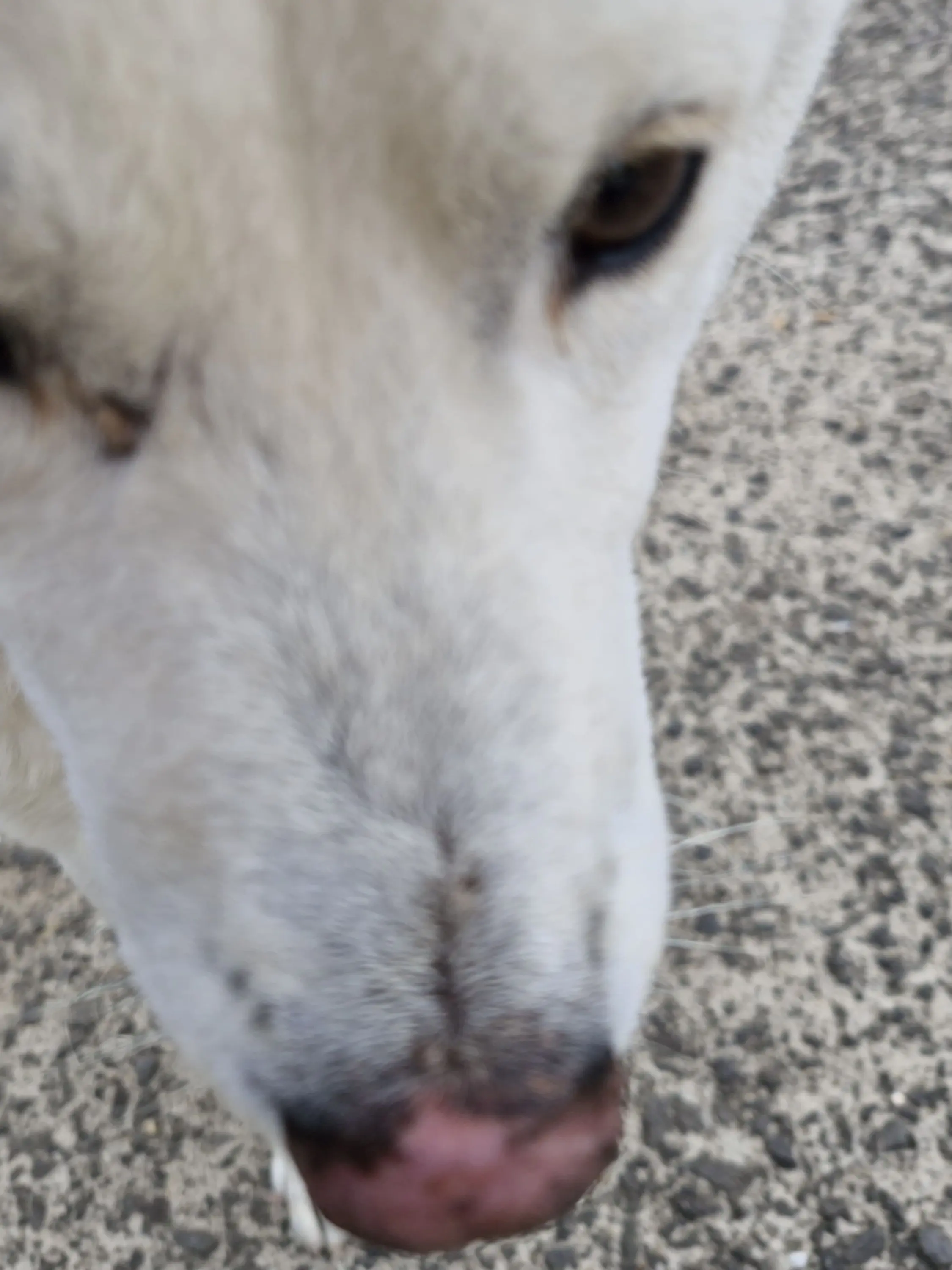 EarlyLeg6240의 응답하라 1994