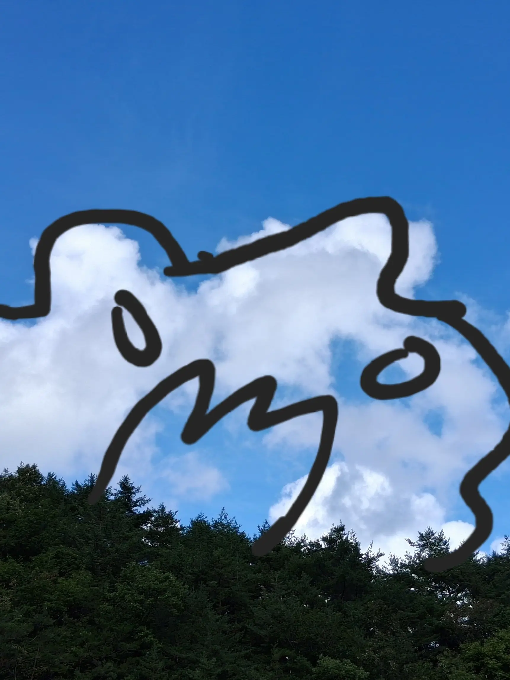 SlimyLaw7449의 팀샐 판매자 공지