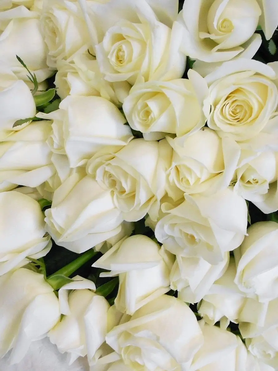 HumidMango4891의 私と踊って頂けませんか？